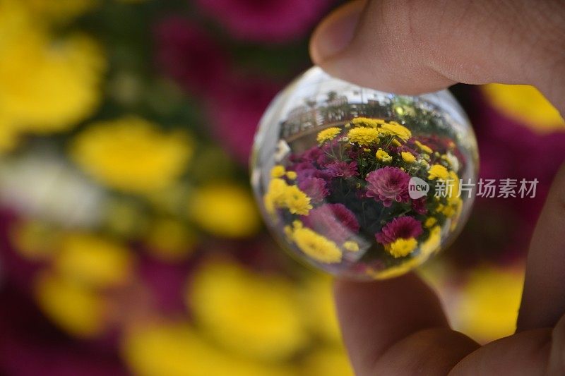 花透过水晶球