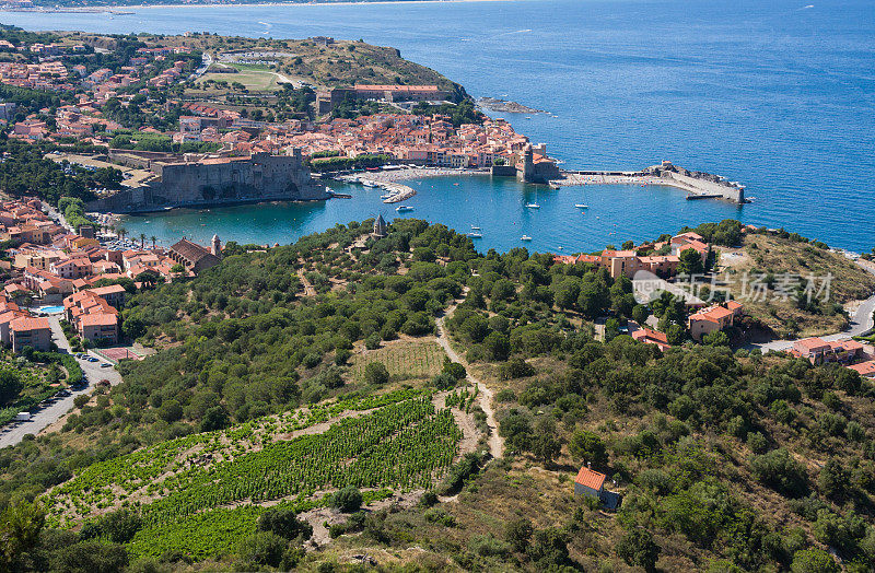 Collioure的视图。朗格多克-鲁西永，法国，法国加泰罗尼亚海岸