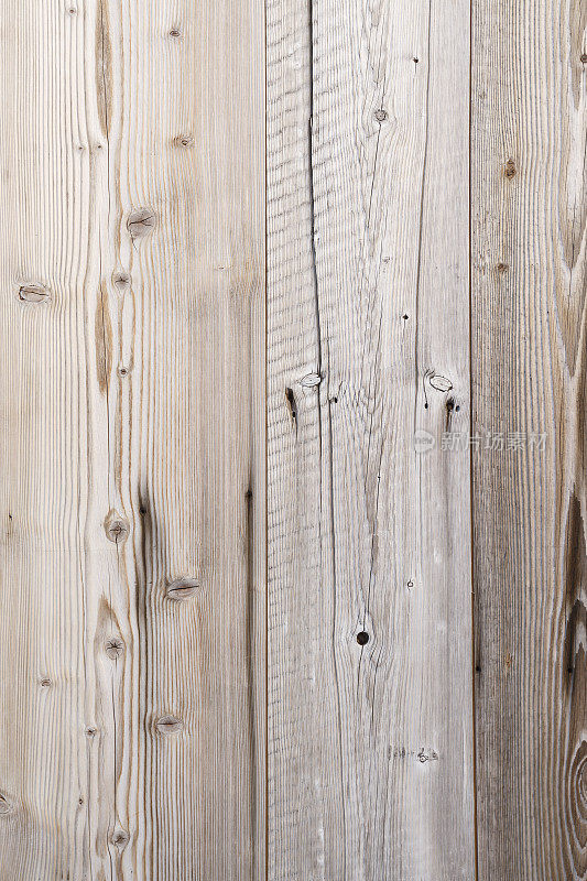 木材纹理的背景。古朴的松木墙。风化的打结松木。