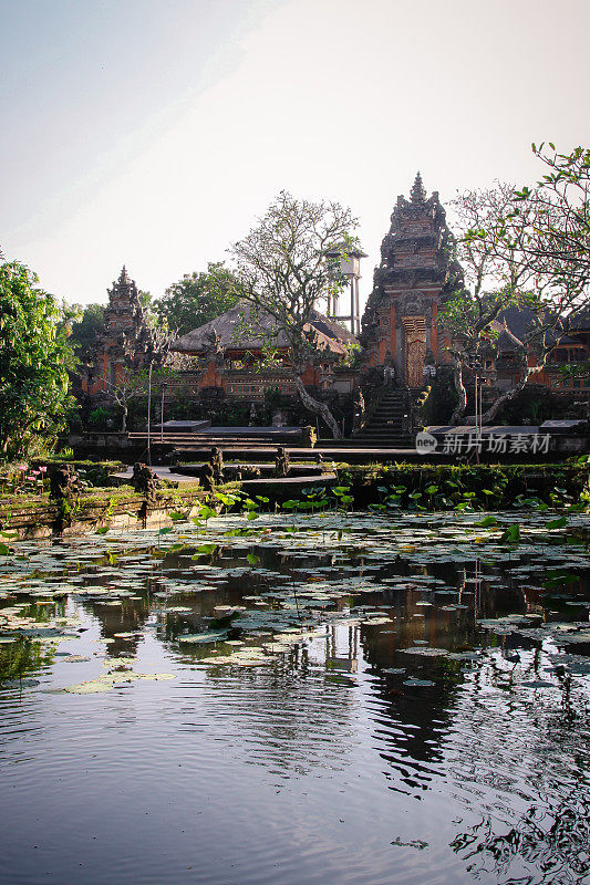 巴厘岛乌布的萨拉斯瓦提寺庙和池塘