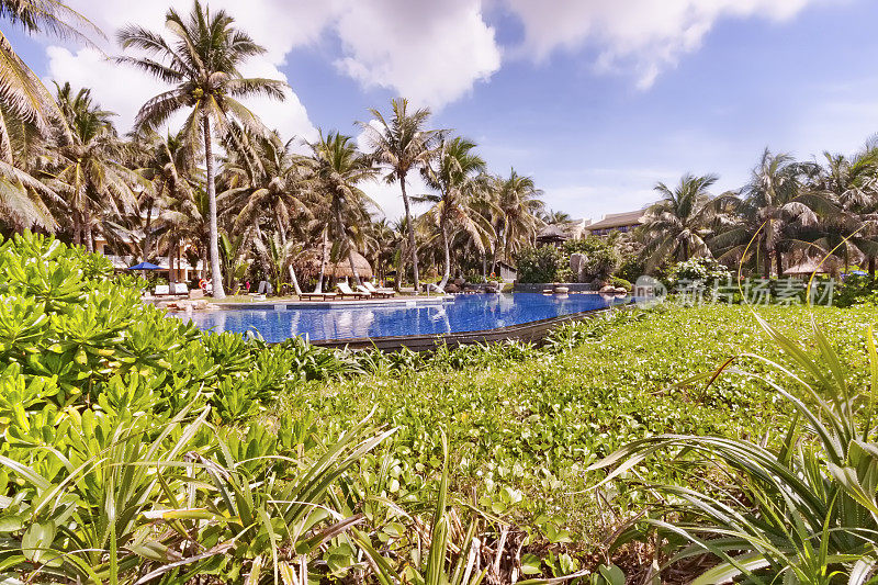 热带花园全景游泳池和遮阳伞