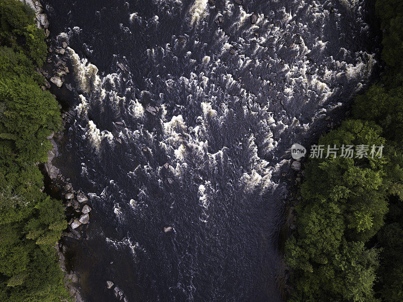 夏季北方自然森林和河流鸟瞰图