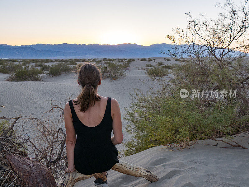 一个年轻女子坐在死亡谷的一根枯枝上望着夕阳