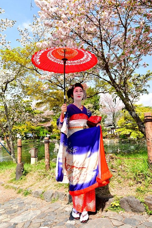 穿着舞子服装的日本女人享受京都的春天