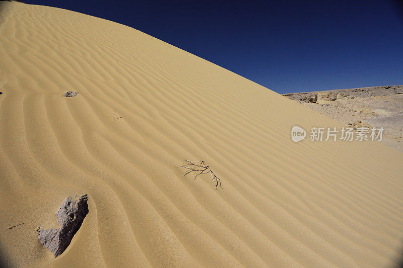 阿拉瓦阿拉巴沙漠的沙丘