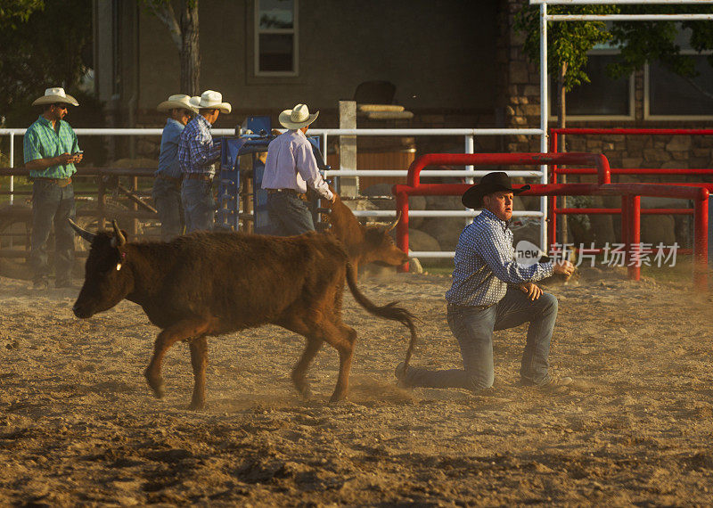 牛仔是在美国犹他州盐湖城西班牙叉围场竞技场的野公牛骑比赛