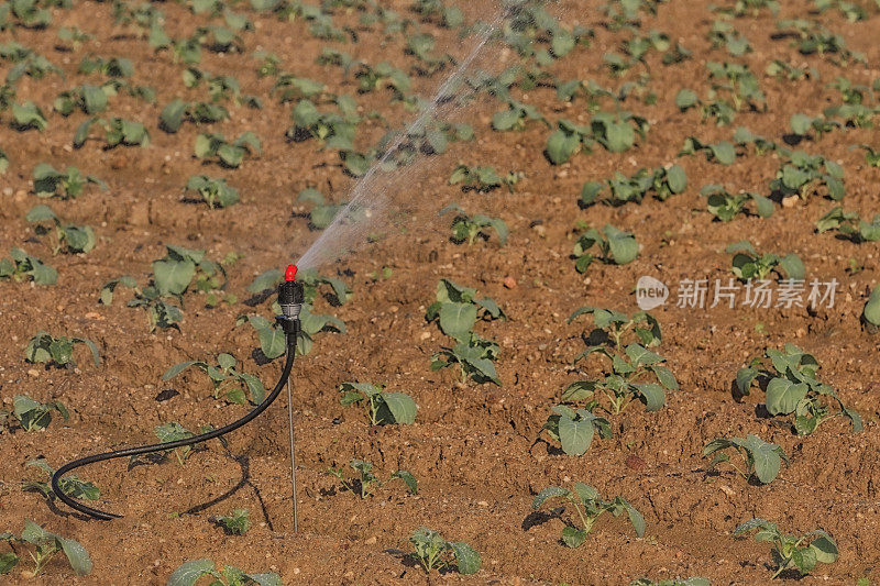 农业灌溉。