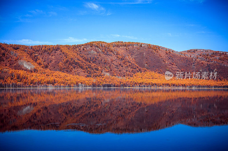 内蒙古呼伦贝尔阿尔山国家森林公园湖泊景观