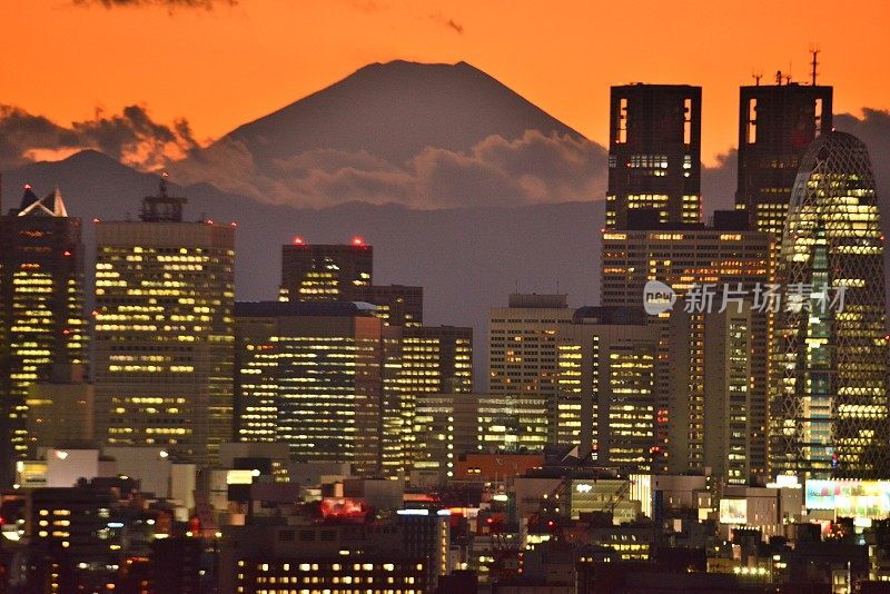 富士山和东京的天际线:白天和黑夜