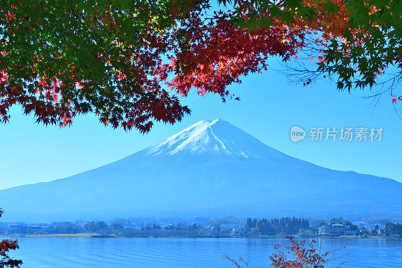 日本富士五湖地区的富士山和秋叶