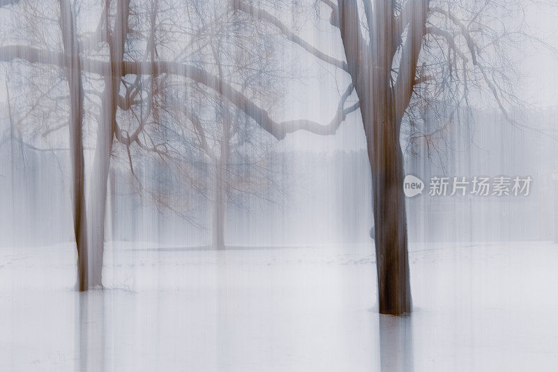 冰雪抽象裸露的树木冬季景观