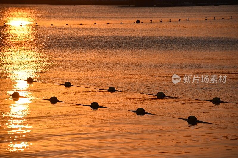 界标浮在海水表面