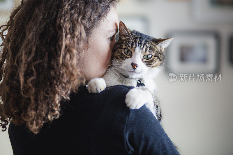 虎斑猫和一个年轻漂亮的女人