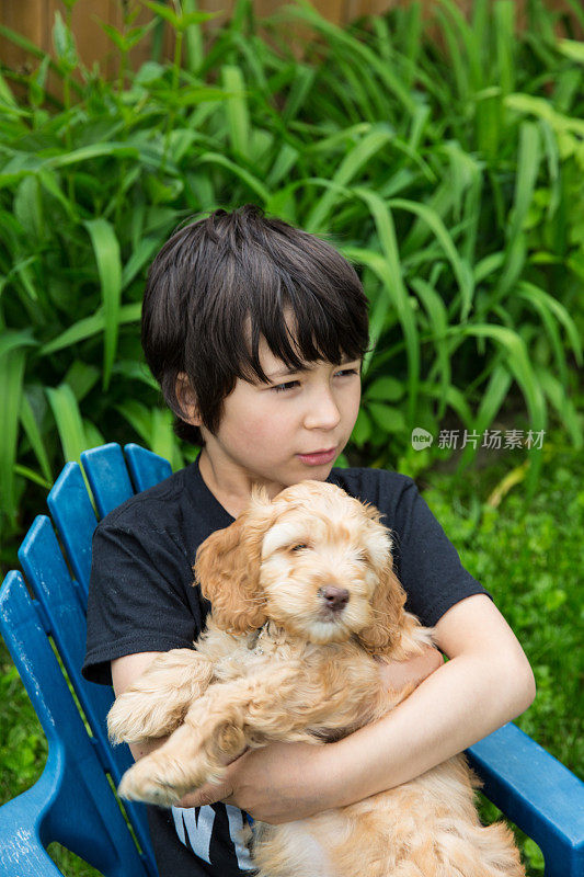 小狗和小男孩