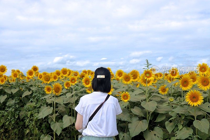 年轻女子在向日葵地里