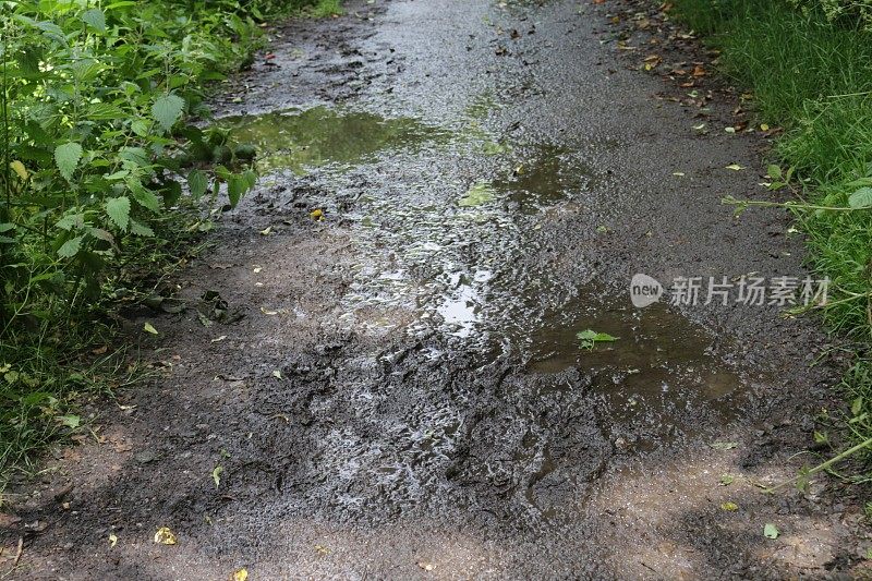 倾盆大雨过后，被水浸透的乡间小路上满是水坑，泥泞的靴子和脚印留在泥泞中