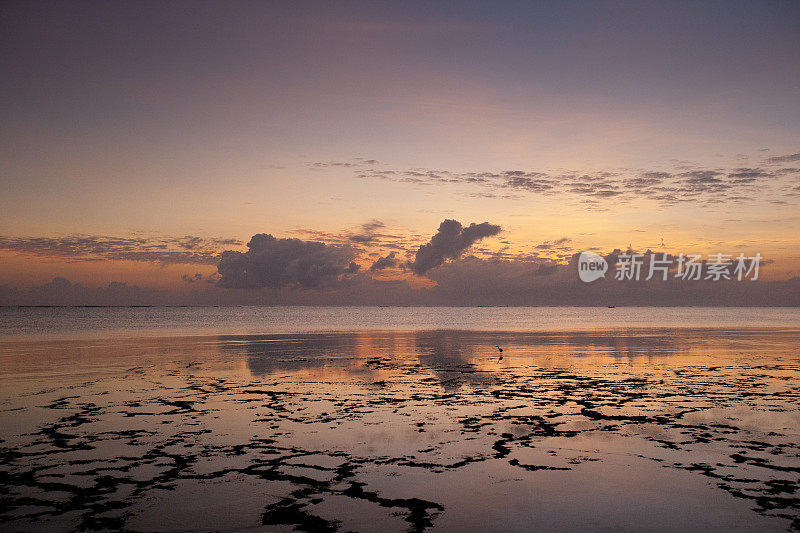 黎明时分，坦桑尼亚桑给巴尔海岸外的印度洋