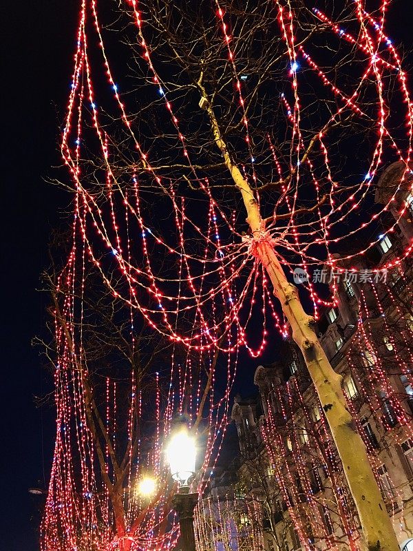 法国巴黎香榭丽舍大街上的圣诞灯饰——树上的花环