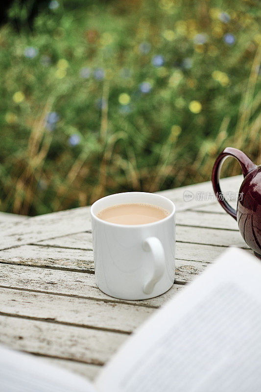 一杯茶和一本书在花园里。