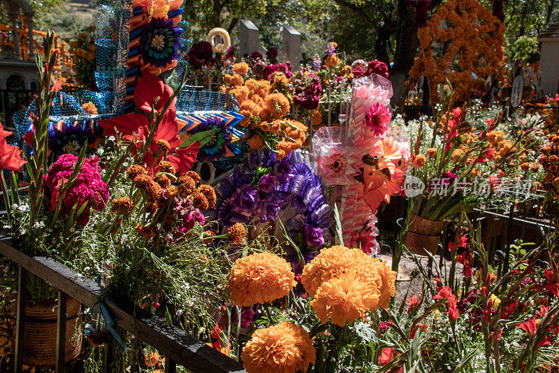 亡灵节墓地鲜花装饰