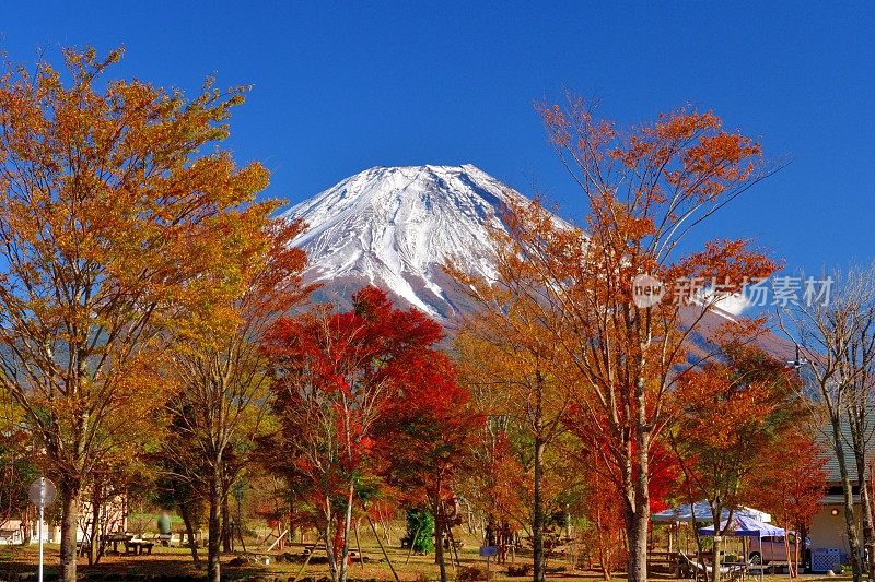 富士山和秋叶色，拍摄于富士五湖地区和富士宫市