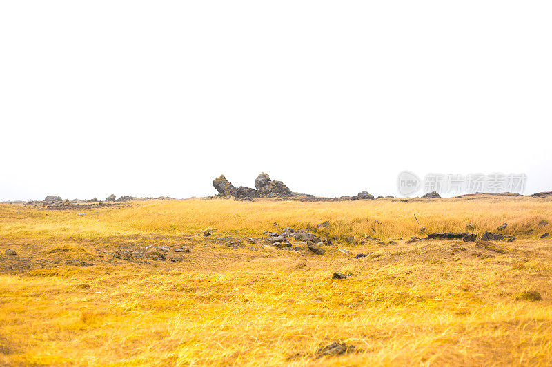 冰岛Hellissandur:秋季火山苔藓景观