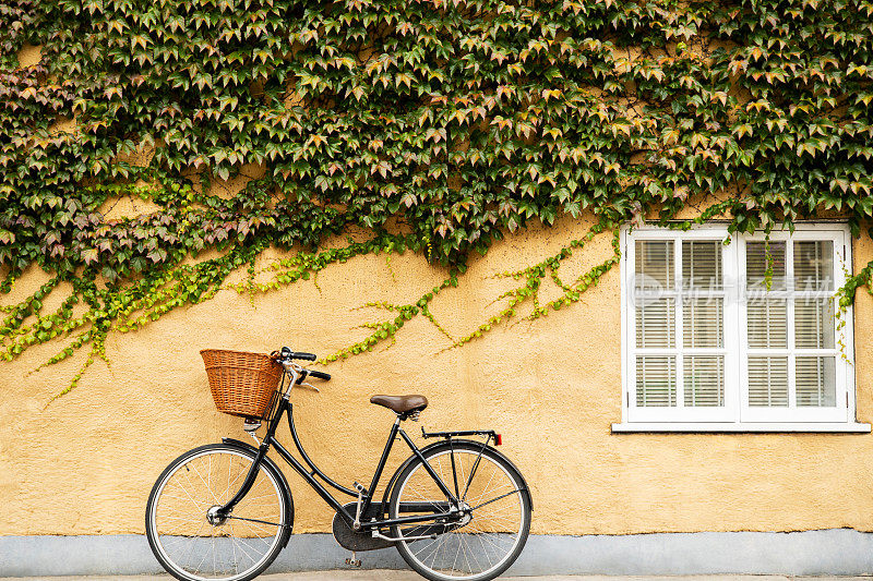 在牛津，老式自行车与篮子对抗爬满常春藤的建筑