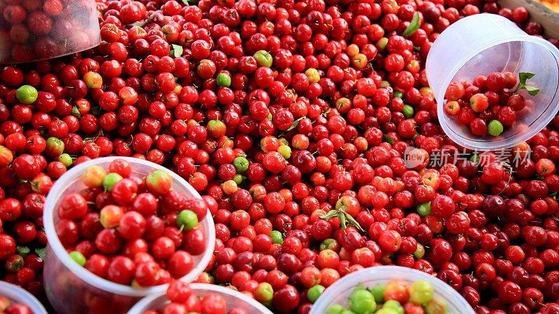 萨尔瓦多出售的针叶罗拉水果