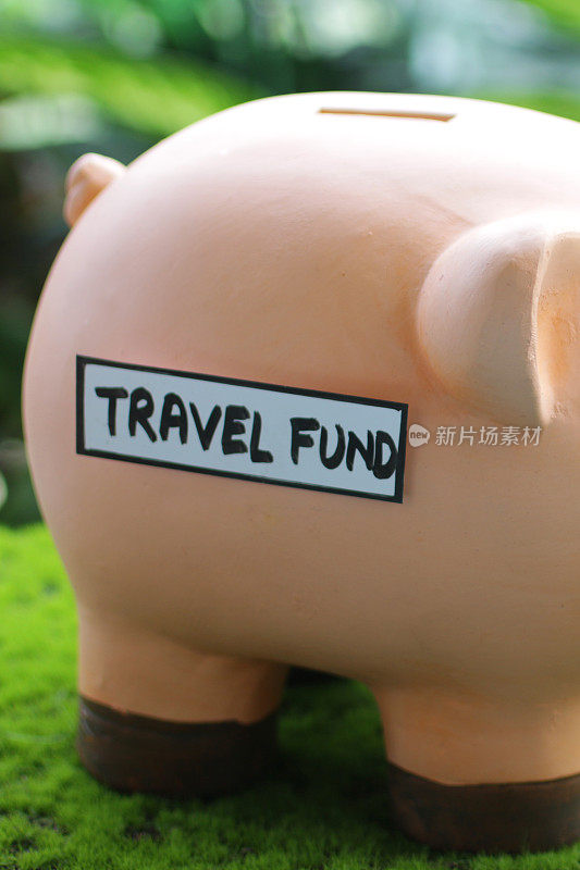 特写图像的小猪银行与插槽顶部与旅行基金标签，家庭财务和储蓄的概念