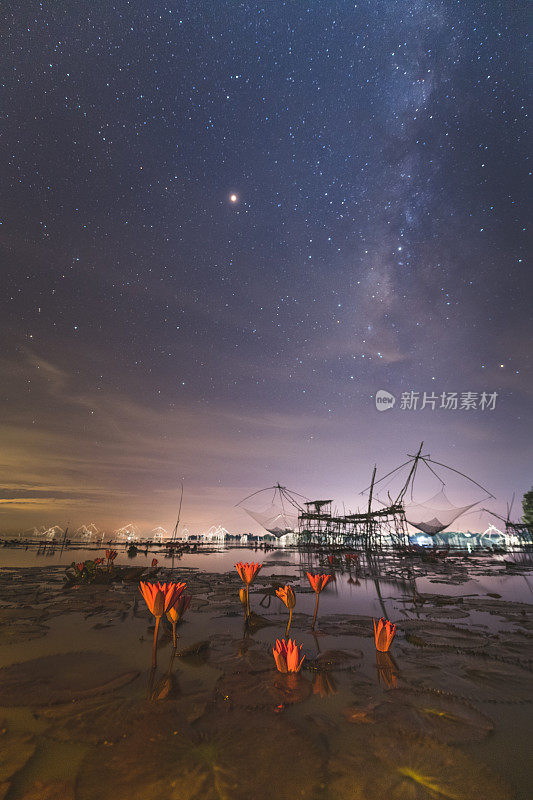 在美丽的自然背景下的星夜湖，睡莲花和热带海洋的渔村与银河在泰国宋卡