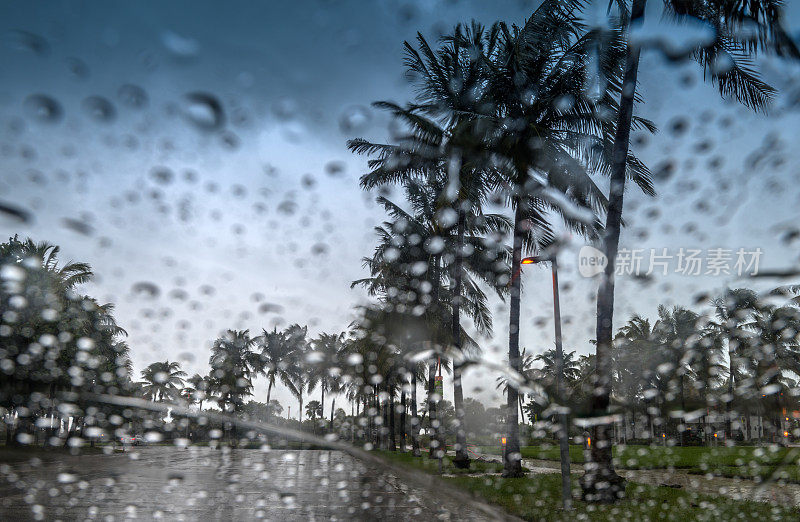 热带雨