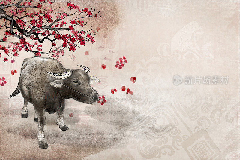 中国新年牛年春节的国画之牛和梅花
