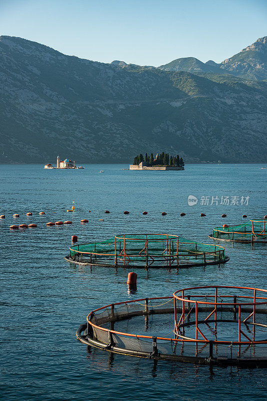 在科托湾鱼类养殖场的观点，黑山共和国