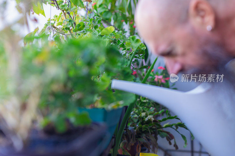 一个人在家给植物浇水