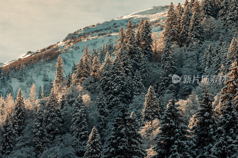 降雪，山脉和冬天