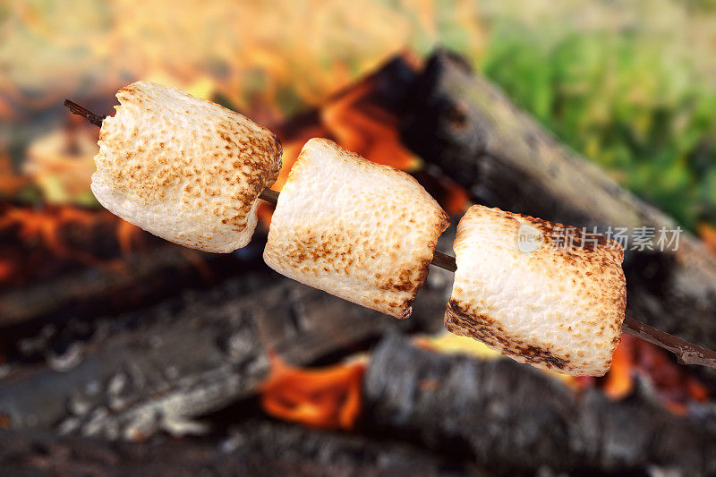 美味松软的棉花糖在户外的篝火上烤着
