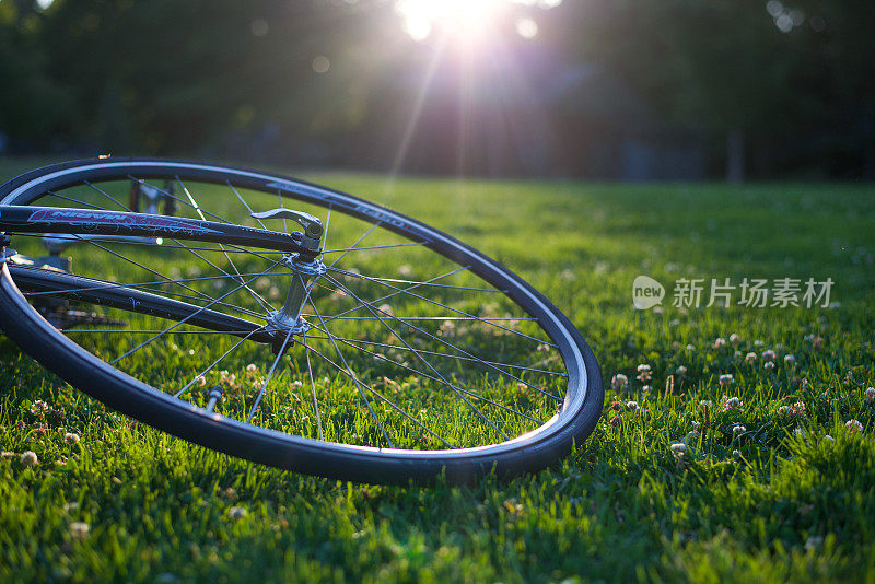 自行车轮胎在公园的草地上，阳光灿烂