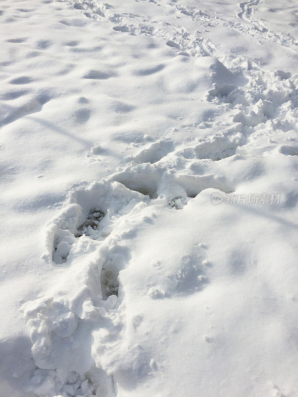 雪地上的脚印