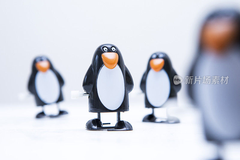 四个上发条的企鹅玩具的特写镜头