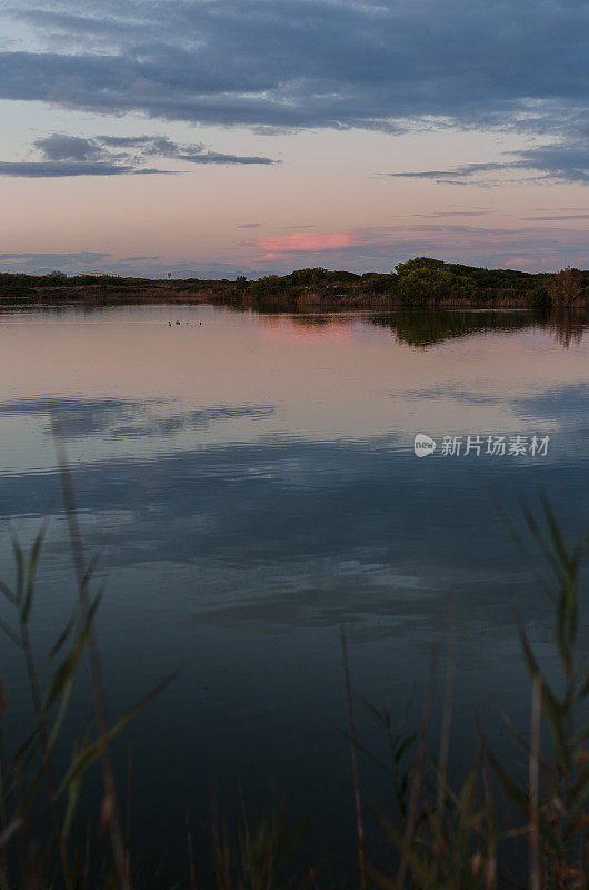 傍晚，树木环绕的平静湖泊