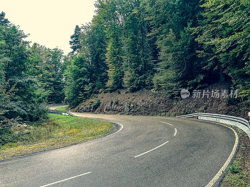 德国黑森林里一条蜿蜒的道路。