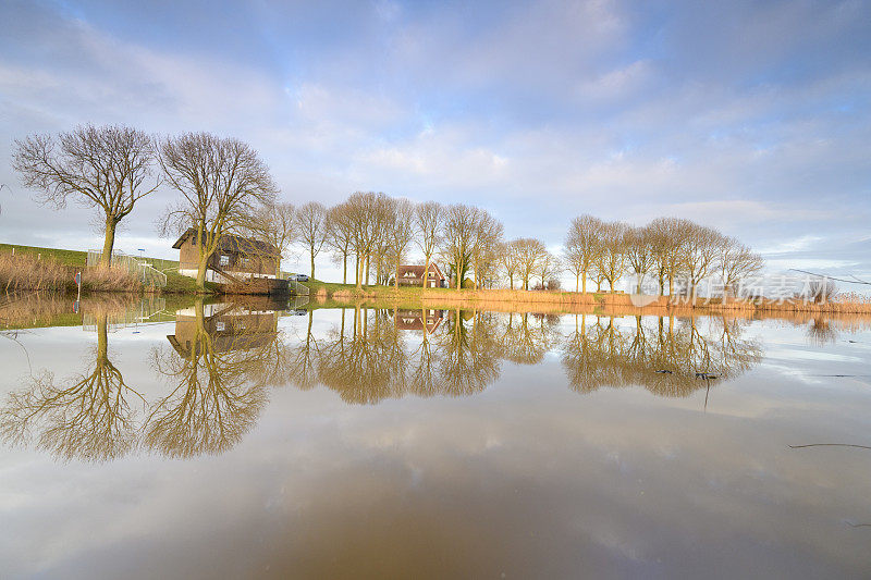 在IJsseldelta的一个老堤坝决口池塘的景观