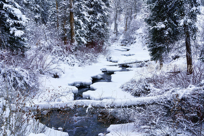 冬雪溪景观