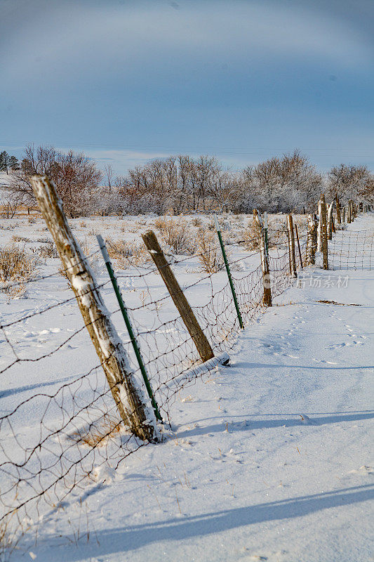 在蒙大拿雪天路上，牧场的篱笆柱子倾斜着