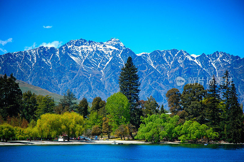 新西兰皇后镇瓦卡蒂普湖的树木和雪山景观