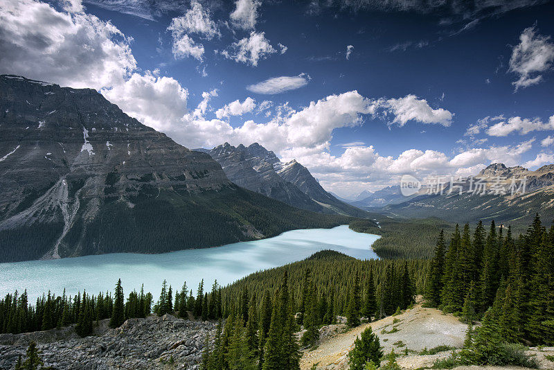 佩托湖，班夫国家公园，AB，加拿大