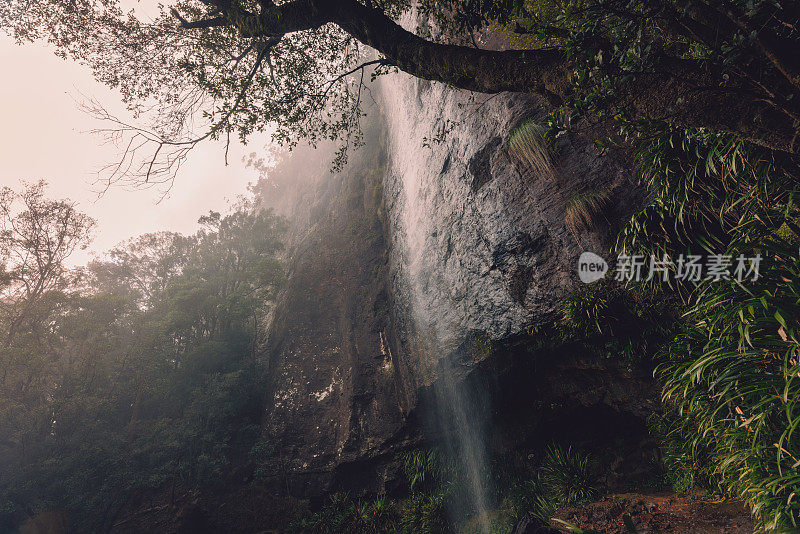 瀑布从悬崖上倾泻而下，进入郁郁葱葱的雨林。