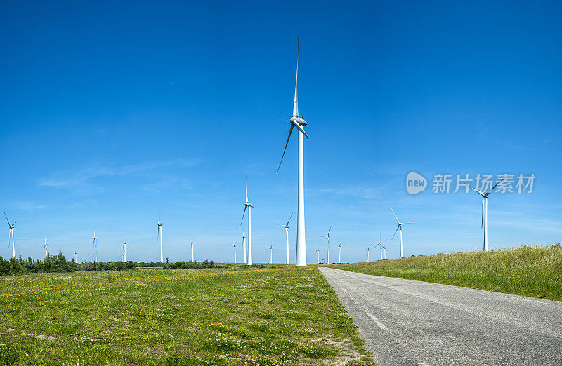 位于荷兰泽兰的风力涡轮机农场