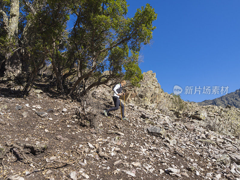 女运动员在山上练习越野跑