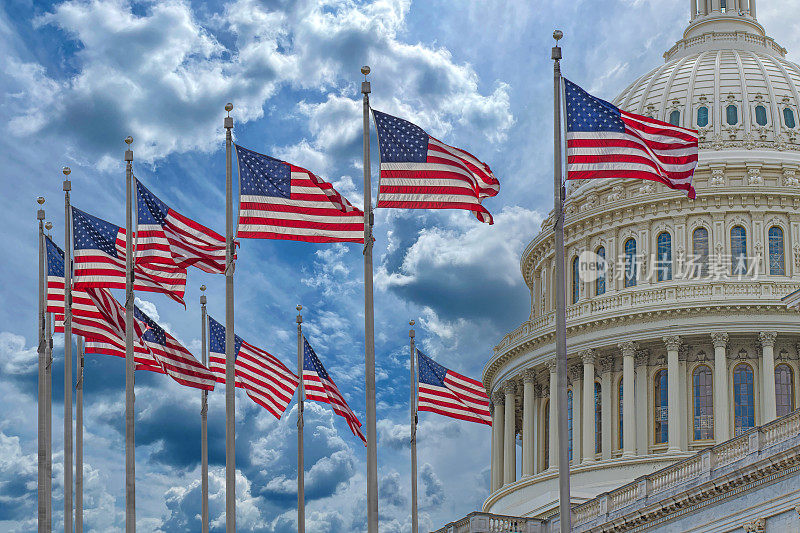 华盛顿特区国会大厦:国会与美国政治